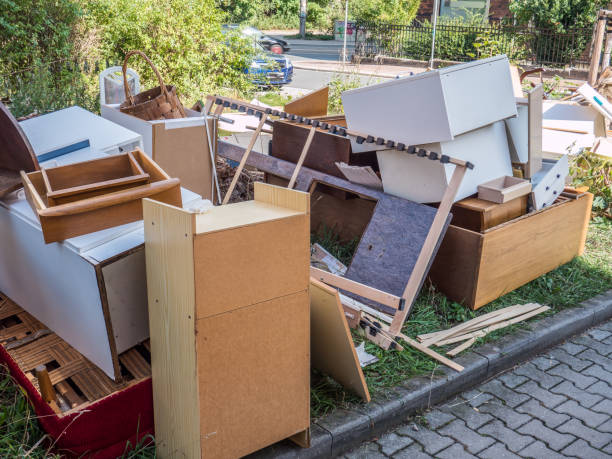 Best Trash Removal Near Me  in Roseau, MN
