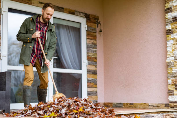 Best Dumpster Rental Services  in Roseau, MN