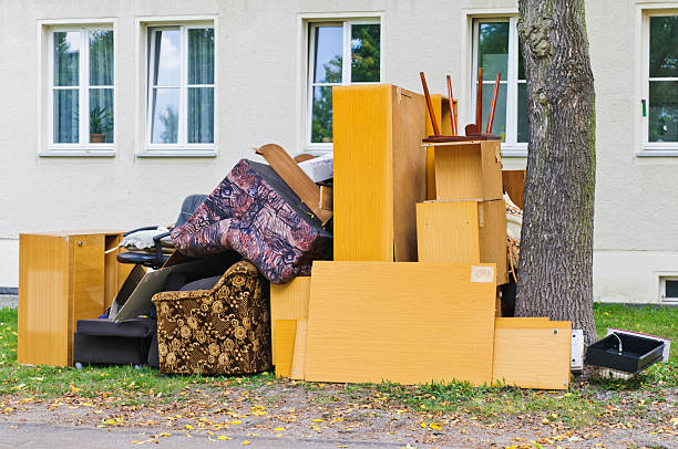 Best Construction Debris Removal  in Roseau, MN